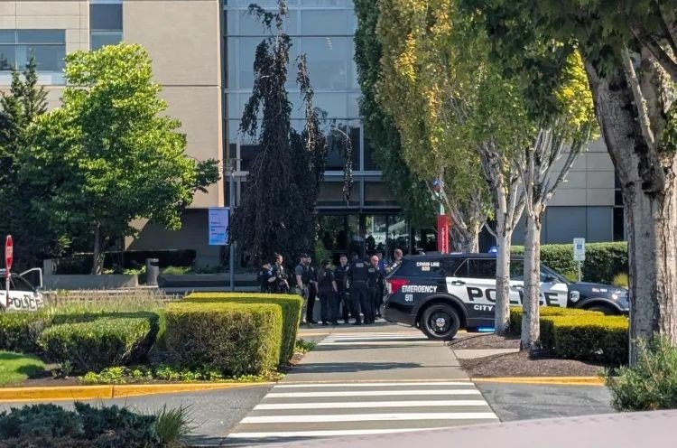 Microsoft’ın İsrail Destekleri ve Gazze Meselesinde İç ve Dış Baskılar