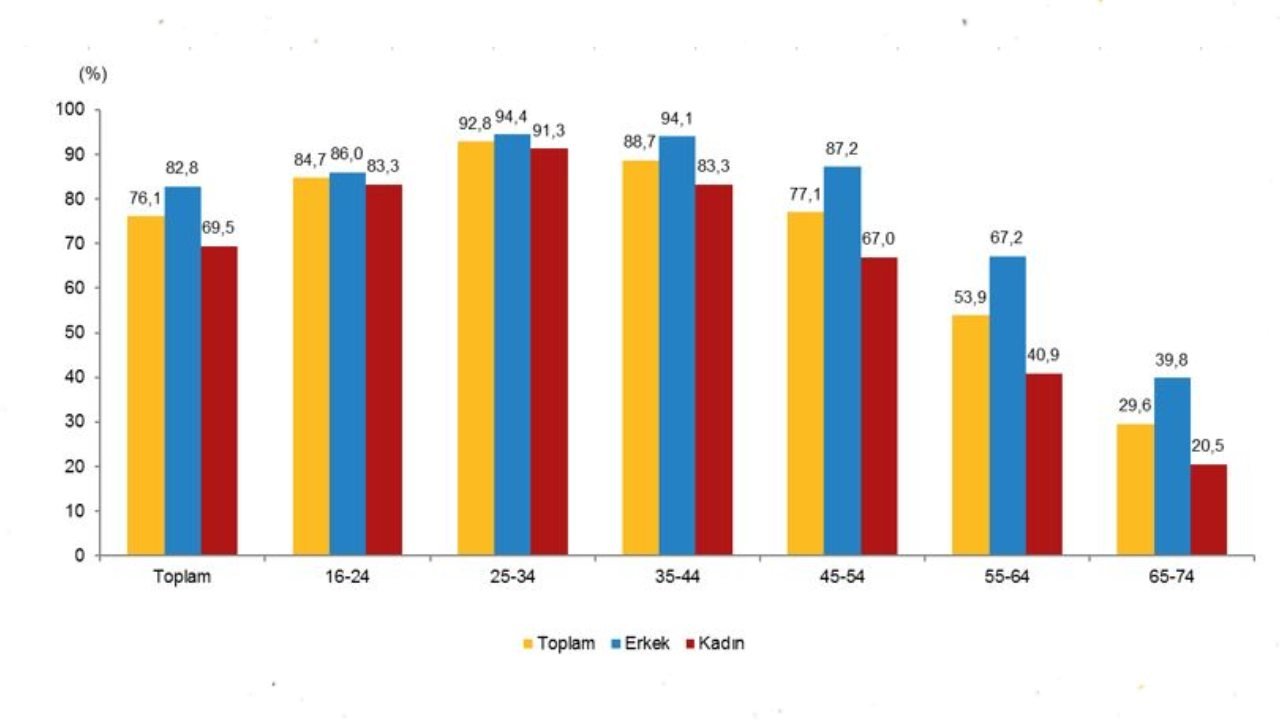 Türkiye’de İnternet ve Dijital Hizmet Kullanımında 2025 Verileri