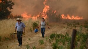 Avrupa’da Aşırı Hava Olaylarının Ekonomik Bedeli: Sıcaklık Artışı ve Zararlar