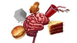 Yüksek Yağlı Diyetin Kısa Sürede Hafıza Üzerindeki Etkilerini Gösteren UNC Çalışması