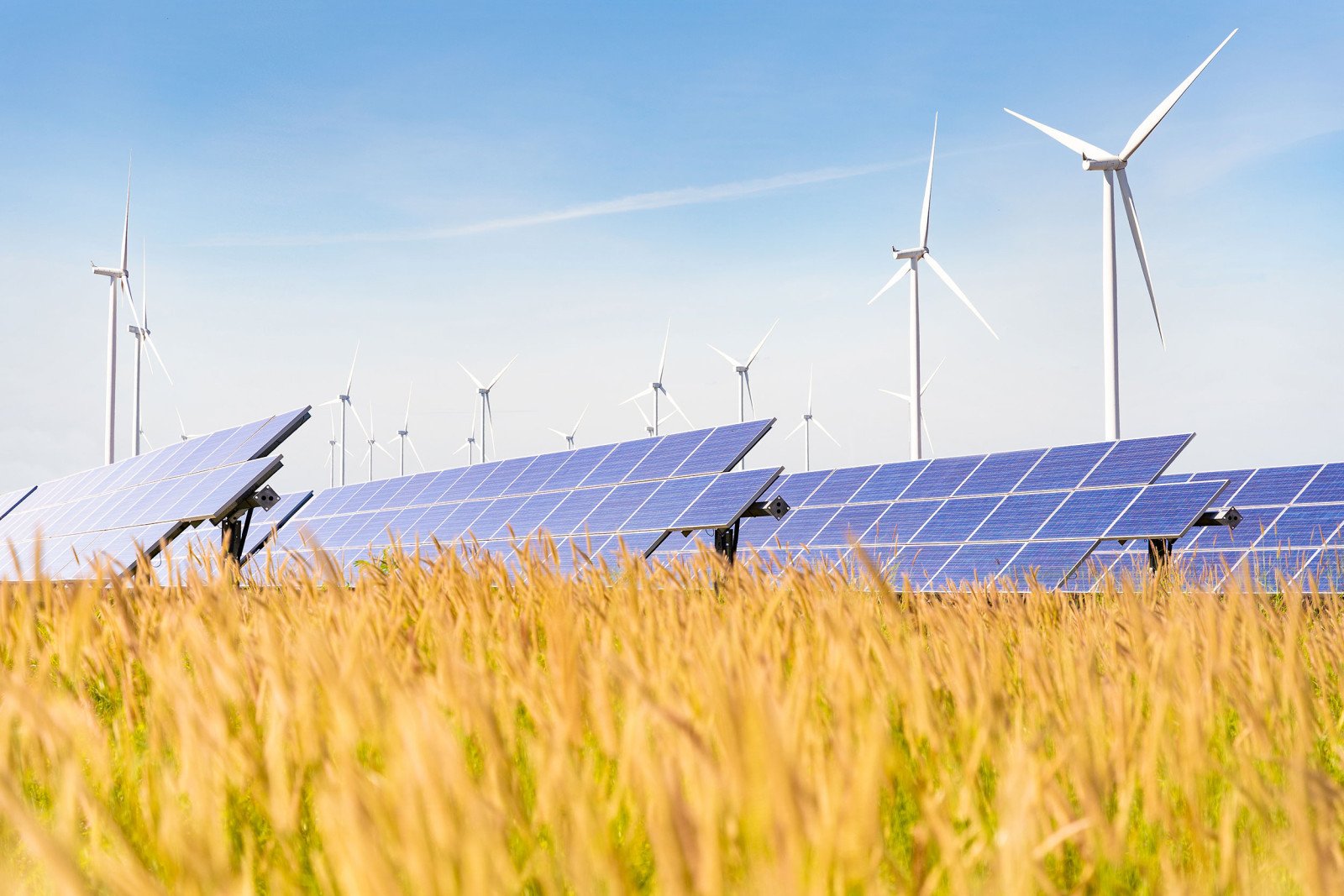 Güneş ve Rüzgarın Yükselişi: 2025 İlk Yarıda Enerji Dönüşümünün Kilit Noktaları