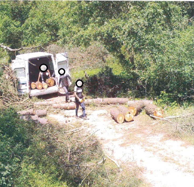 Ormanları İzleyen Zekâ: ORİKEM ile Doğaya Karşı Gelişmiş İzleme ve Müdahale Sistemi