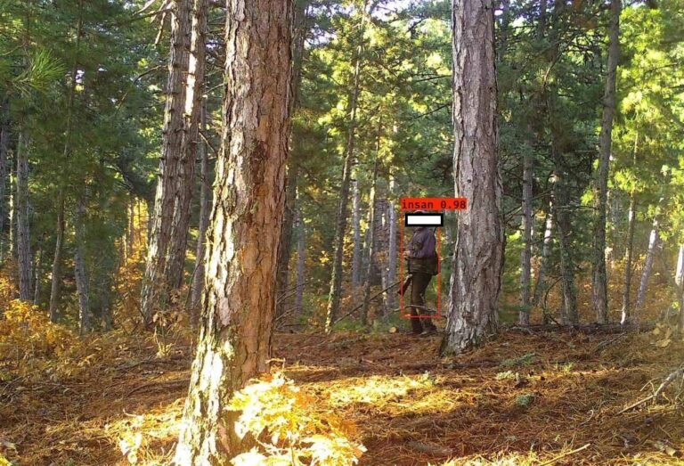 Ormanları İzleyen Zekâ: ORİKEM ile Doğaya Karşı Gelişmiş İzleme ve Müdahale Sistemi