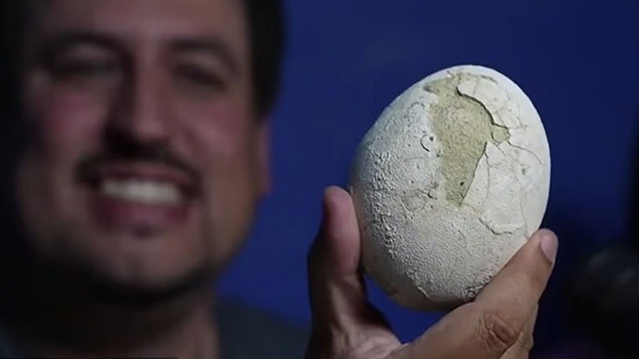 Patagonya’da Fosil İzleriyle Dolu Yeni Dinozor Yumurtası Keşfi: Bonapartenykus Olası Bırakıcısı