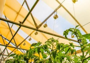 Quantum Dot Sera Camı: Güneş Işığını Verime Dönüştüren Yeni Nesil Tarım Teknolojisi