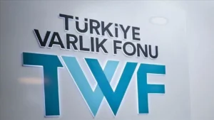 TTF ile Türkiye’nin Teknoloji Temelli Kalkınma Hedefleri ve Küresel Girişimcilik Bağlantıları