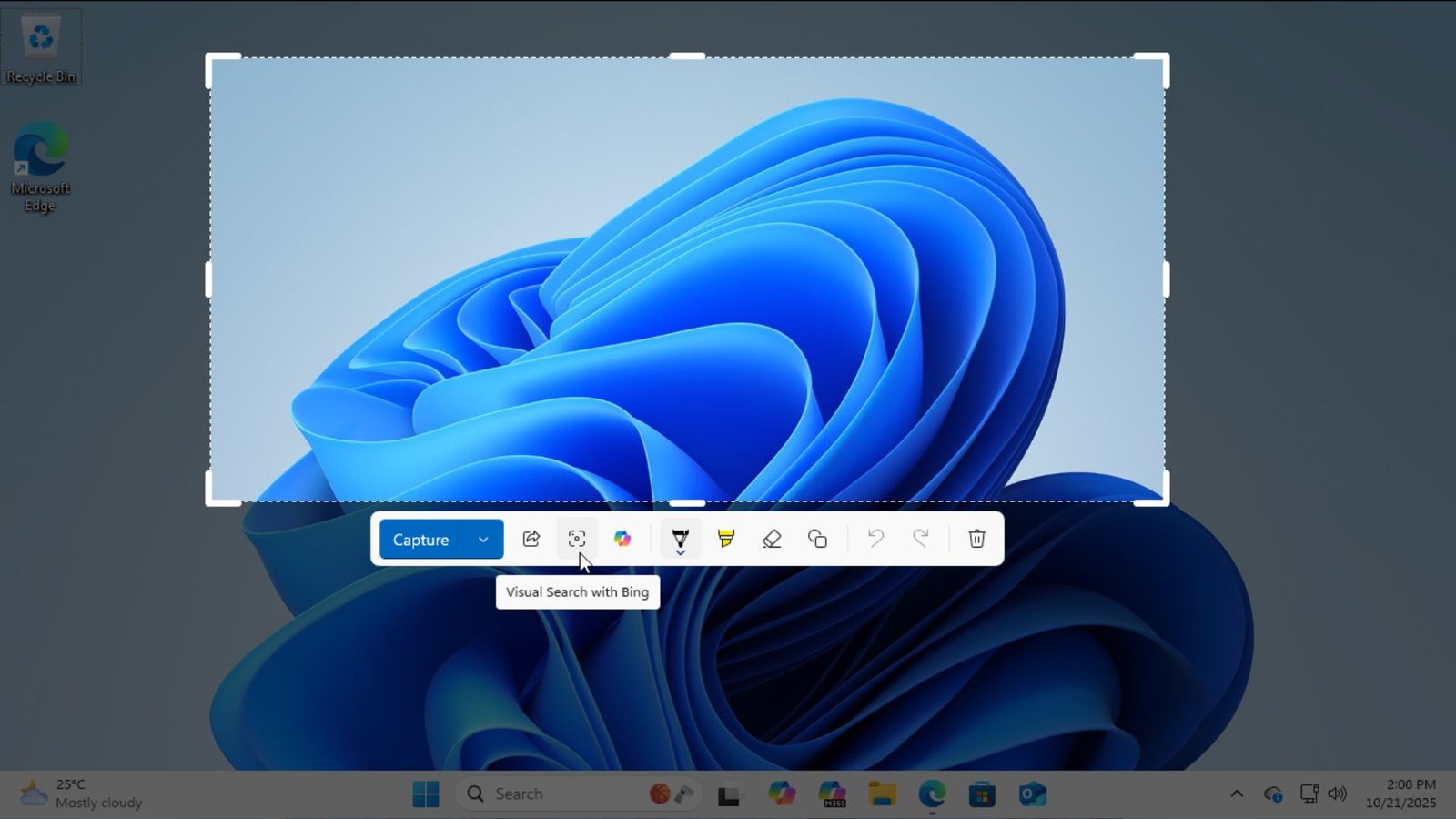 Windows 11 için Ekran Alıntısı Aracıyla Bing Görsel Arama ve Copilot Entegrasyonu