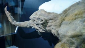 Buzul Devri Mamutlarının RNA İzleri: Antik Doku İçindeki Genifade ve MikroRNA İzleri