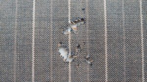 Giyim Güvelerine Karşı Etkili ve Pratik Korunma Yöntemleri