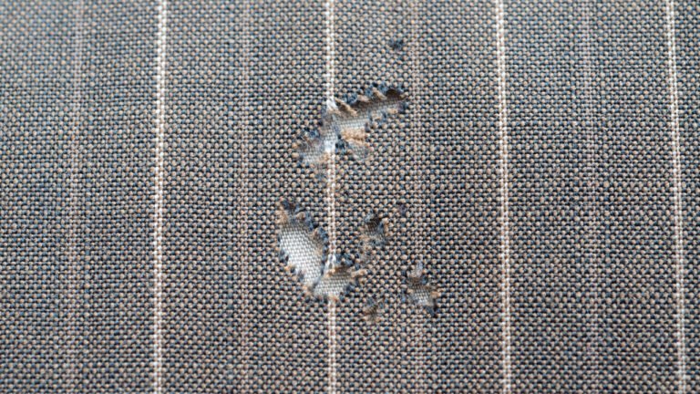 Giyim Güvelerine Karşı Etkili ve Pratik Korunma Yöntemleri