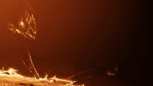 Güneşin Dansını Yakalamak: Phoenix Gölü’nde Yeni Bir Time-Lapse Gözleminin Ardındaki Teknoloji ve Bilim