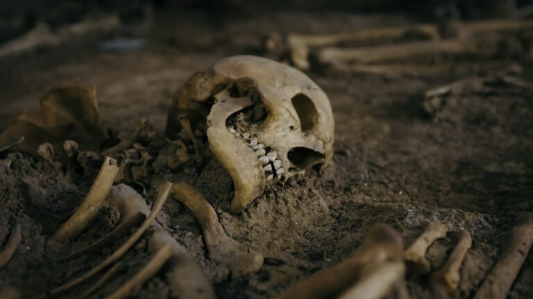 İskeletlerden Cinsiyet Tahmini: Yöntemler, Doğruluk ve Toplumsal Yansımalar