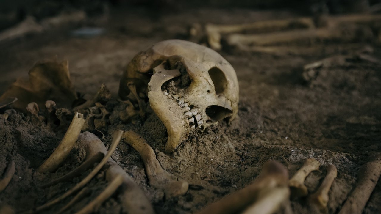 İskeletlerden Cinsiyet Tahmini: Yöntemler, Doğruluk ve Toplumsal Yansımalar