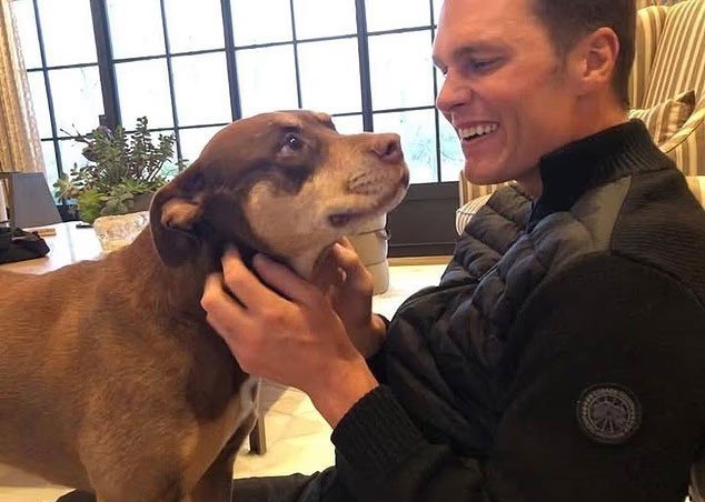 Klonlama Tartışması: Brady’nin Köpeği ve Epigenetik Faktörlerin Rolü Üzerine Güncel Bir Bakış