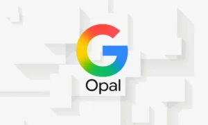 Opal Genişlemesi: Türkiye ve AB İçin Mevzuat Uyum Süreci ile Google’ın Mini Uygulama Platformu