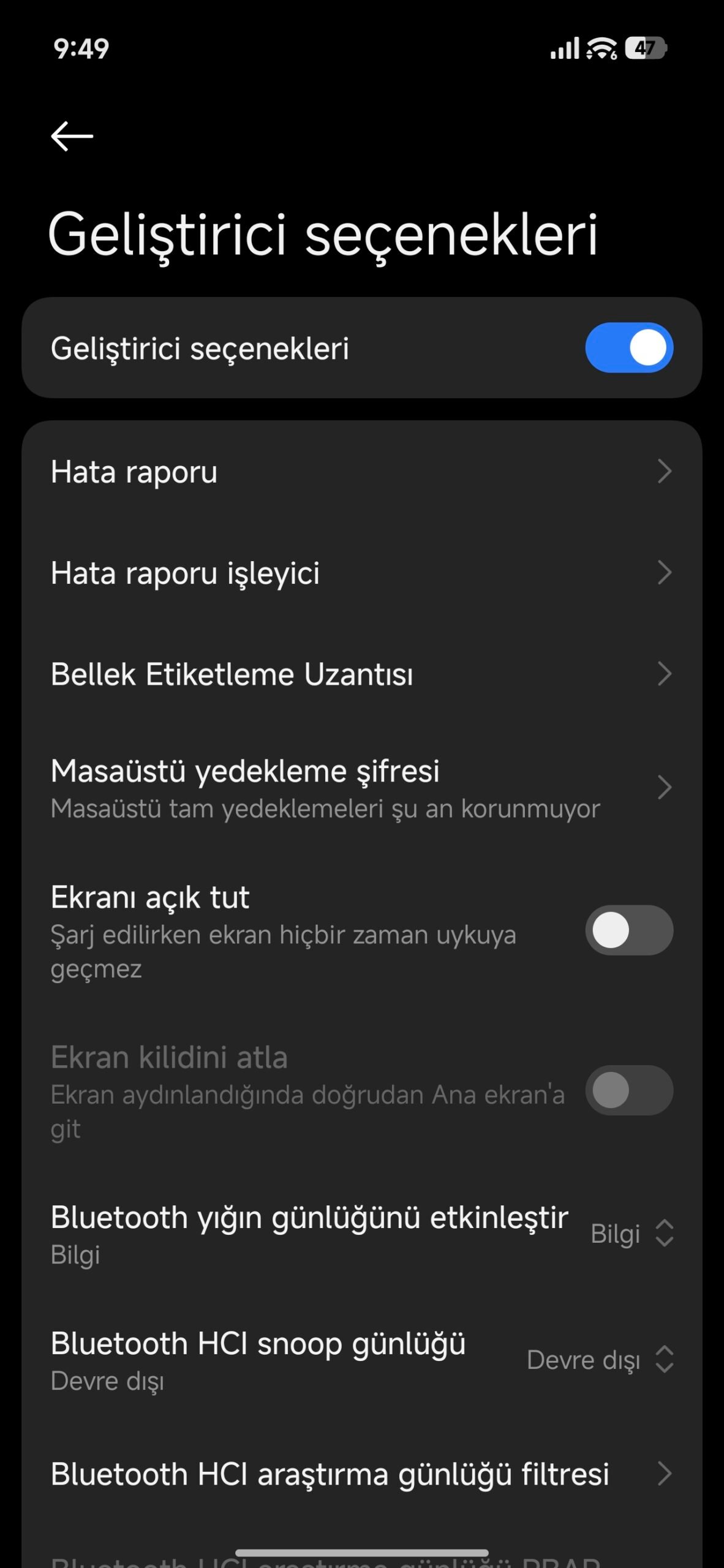 Geliştirici Seçenekleri: Android'in Gizli Ayarlarına Erişimin Pratik Yolu