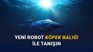 Greyshark: Derinlerde Görev Başlatan Otonom Kablo Koruma Köpekbalığı