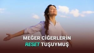 İç Çekmenin Bilimsel Sırrı: Akciğer Sıvılarının Mükemmel Düzeni