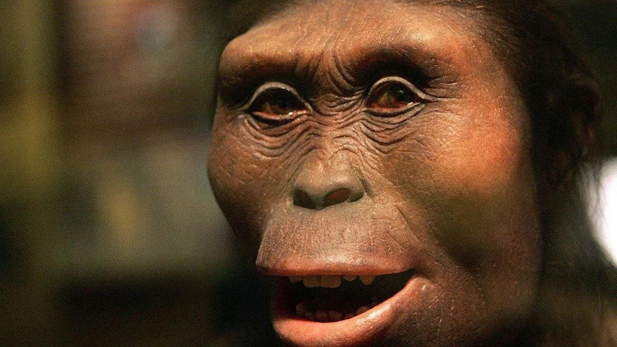 Lucy’nin Komşusu: Australopithecus deyiremeda’nın Aynı Dönemdeki Gizemi