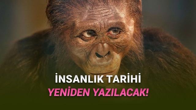 Lucy’nin Komşusu: Australopithecus deyiremeda’nın Aynı Dönemdeki Gizemi