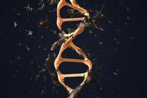 TY1 Hakkında Özet Notlar