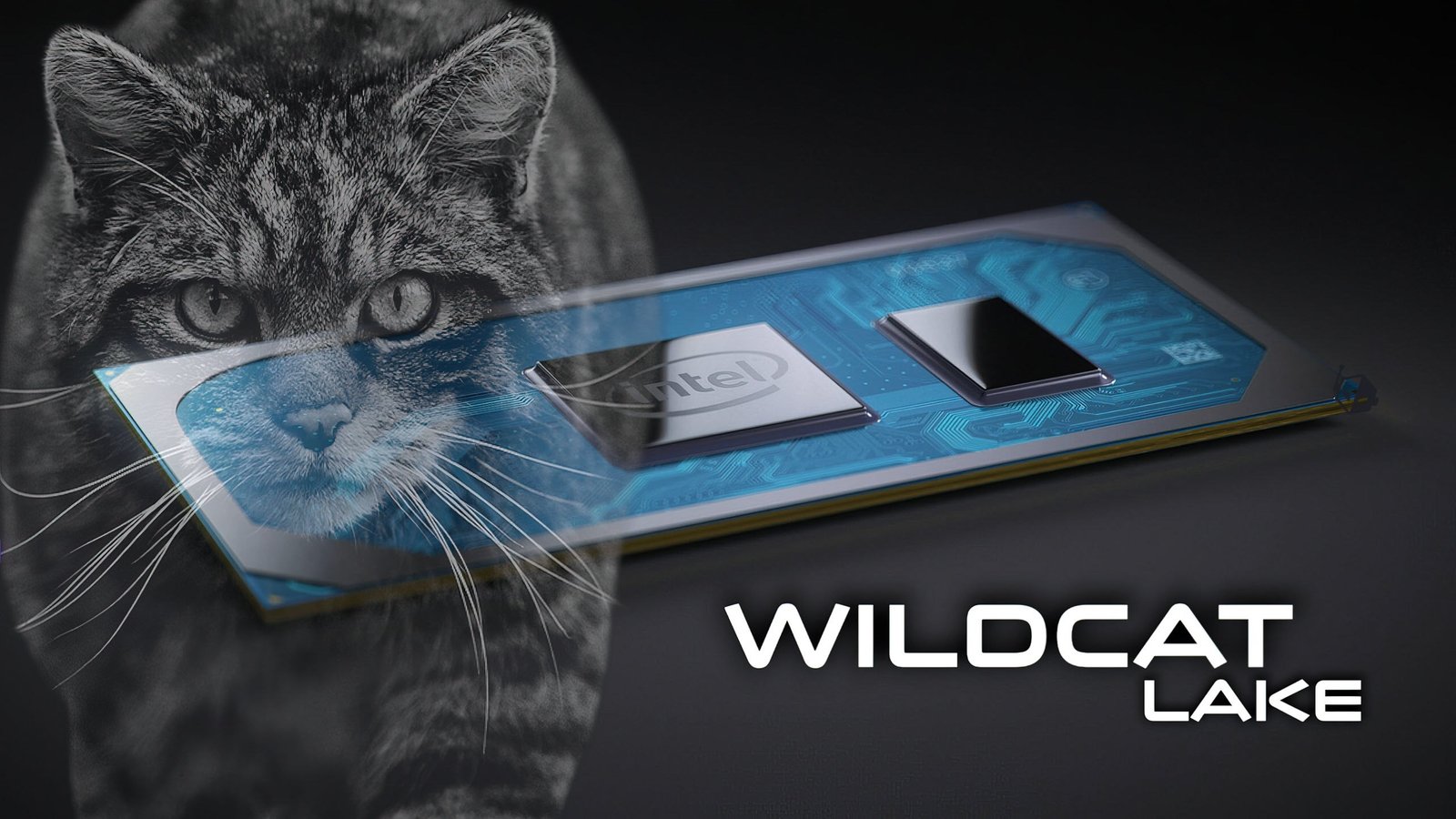 Wildcat Lake Refresh: Chiplet Tabanlı Giriş Seviyesi Intel Platformu 2027'de Geliyor