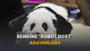 AnAn: Yaşlılara Duygusal Destek Sunan Yapay Zekâlı Panda Robotunun Özellikleri ve Geleceği