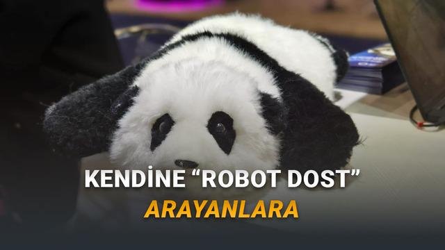 AnAn: Yaşlılara Duygusal Destek Sunan Yapay Zekâlı Panda Robotunun Özellikleri ve Geleceği