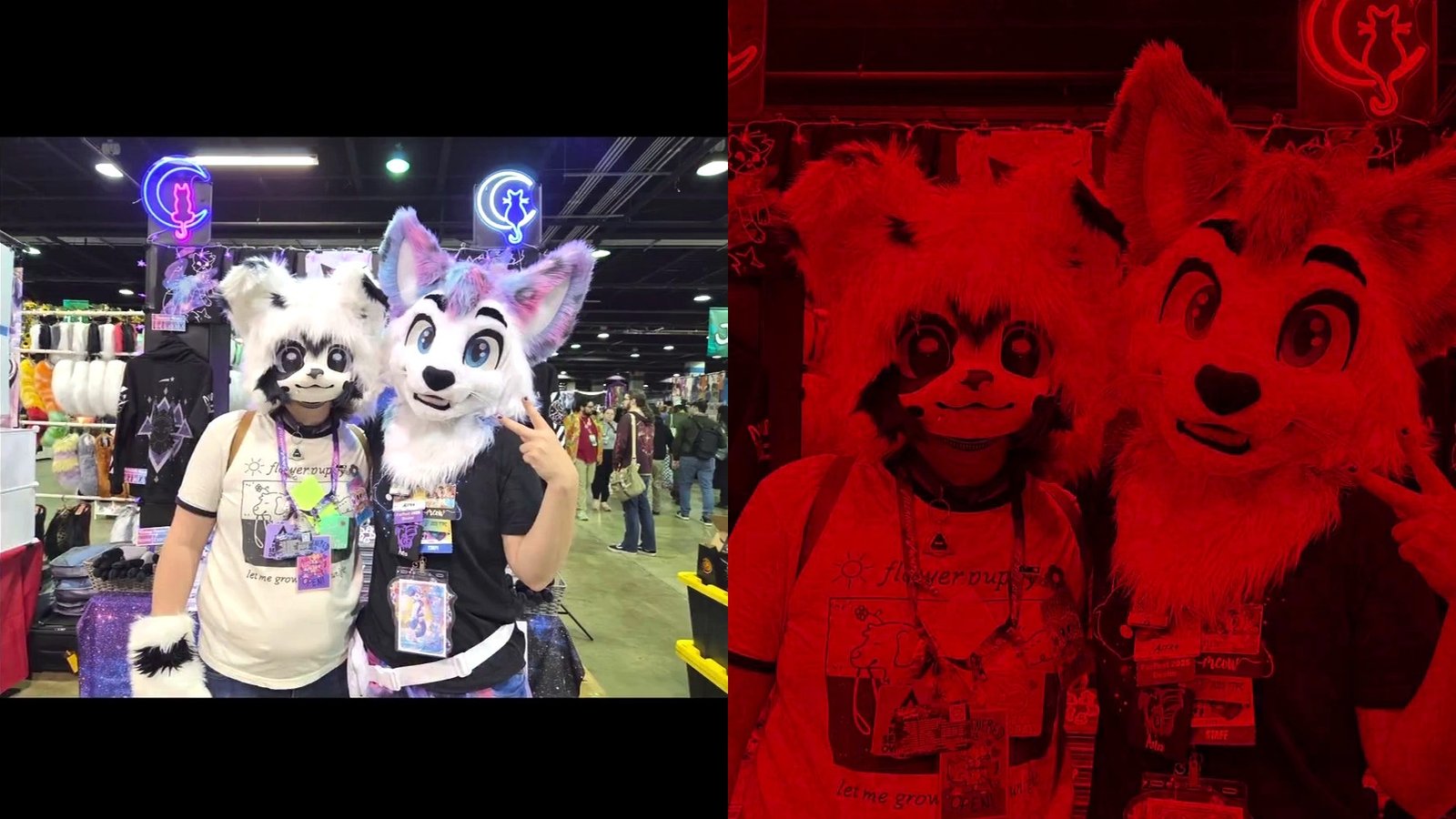 iOS 26 Güncellemesi Sonrası Fotoğraf Renk Sorunu: Hangi Cihazlarda ve Nasıl Çözülebilir