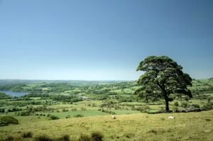 Kültürel Çeşitliliğin Sınırları: Üretken Yapay Zekanın Tekdüzeleşen İçerikleri