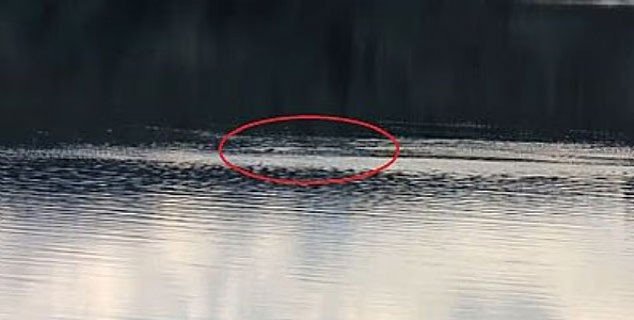Loch Ness Canavarı: 2025 Gözlemleri ve Bölgenin En Büyük Sırrı