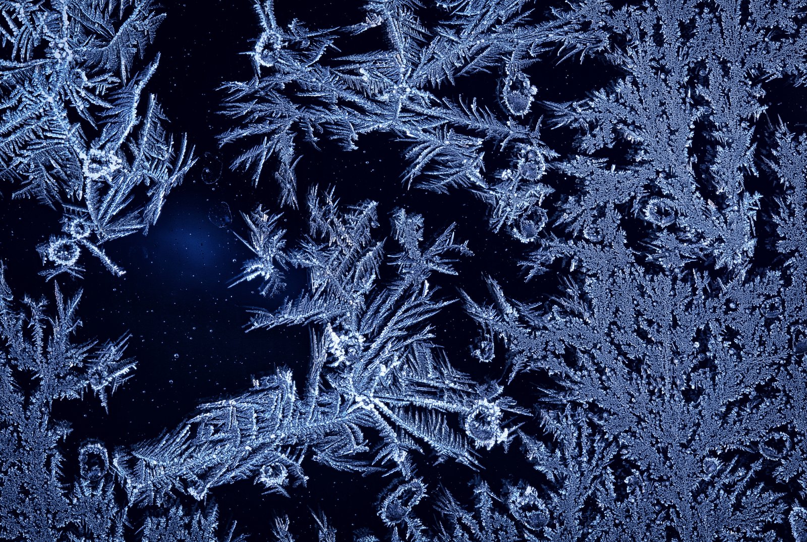 Soğuk Cephe ve Dalgalanan Kış Fırtınası, ABD Genelinde Yollar ve Elektrik Şebekelerini Zorlayacak