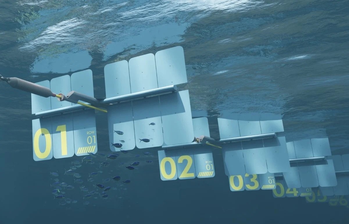 Barbados ile 50 MW Dalga Enerjisi Pilot Projesi: Çift Çıktılı Teknolojiyle Yeni Bir Enerji ve Su Çözümü