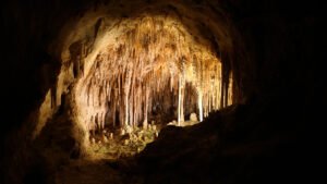 Carlsbad Mağaraları: Yeraltının Asidik Dansı ve Gece Yarısı Biyolojisi