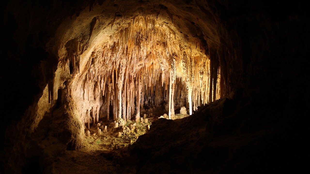 Carlsbad Mağaraları: Yeraltının Asidik Dansı ve Gece Yarısı Biyolojisi