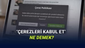 Çerezler ve Gizlilik: İnternet Deneyimini Şekillendiren Küçük Veriler