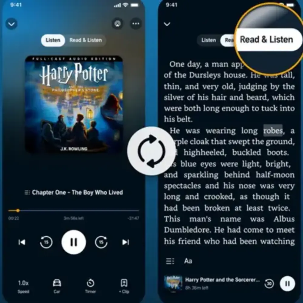 Daldırma Okuması: E-kitapla Sesli Kitabı Bir Arada Deneyimle
