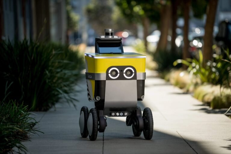 Kaldırımda Sessiz Bir Dalyanın Sahnesi: Otonom Teslimat Robotları ve Toplumsal Tepkiler