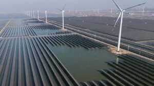 Enerji Krizinden Yeşil Dönüşe: Avrupa ve Küresel Baskılar ve Hareketler