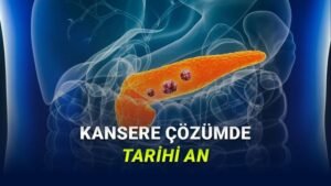 Gelişmiş Yapay Zeka ile Pankreas Kansere Erken Uyarı: 475 Gün Önce Tespit Edilebiliyor