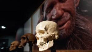 İnsanoğlunun Sosyal Ağları mı Yanıtı Belirledi: Neandertallerin Yok Oluşundaki Gizli Dinamikler