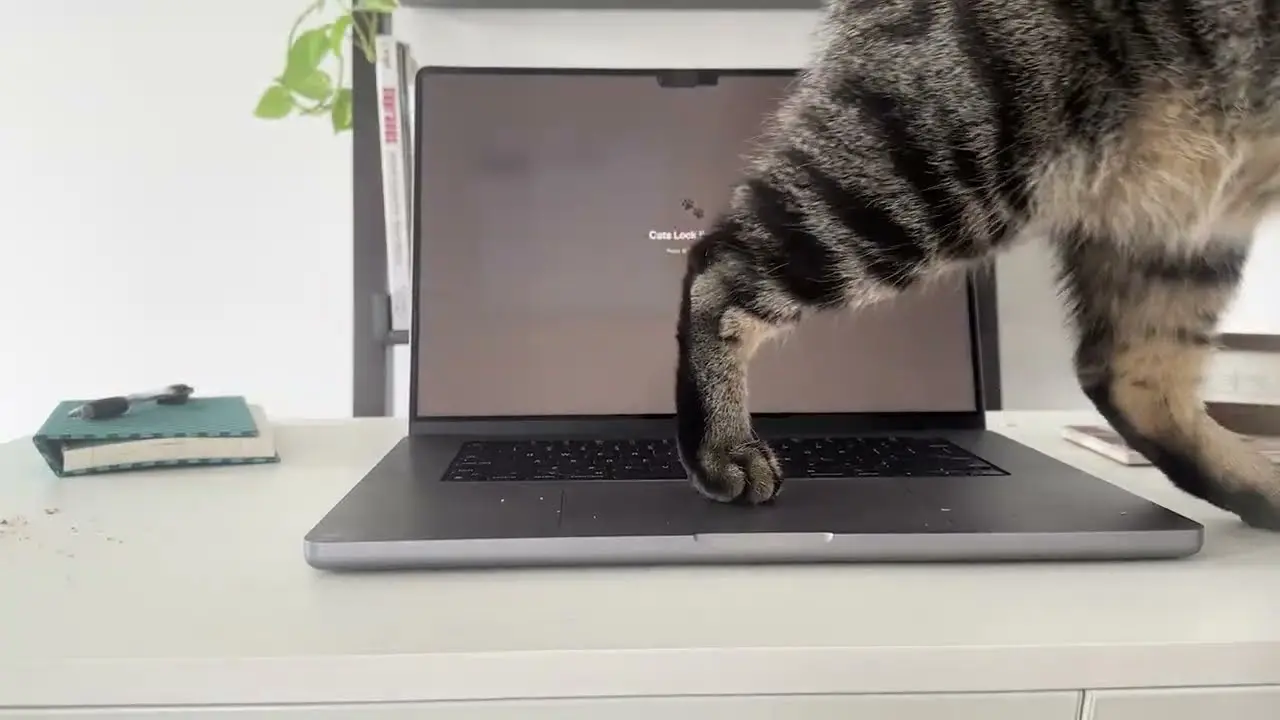 Kedilerin Klavye Macerasına Pratik Çözüm: Cats Lock