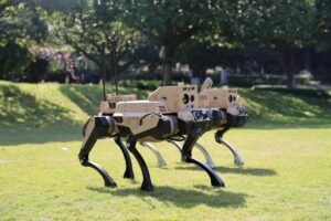 Kullanıma Sunulan Akıllı Robot Sürüleri ve Anti-Drone Sistemleri