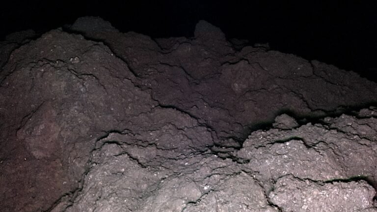 Ryugu Örneklerinden DNA ve RNA: Uzaydan Gelen Genetik İzler ve Panspermia Tartışması