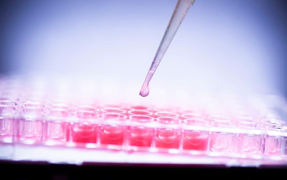 Yapay Zeka ve Sentetik DNA: Sınırları Zorlayan Tehditler ve Denetim Talepleri