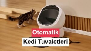 Akıllı Kedi Tuvaletleriyle Temiz ve Kolay Bakım Rehberi 2026