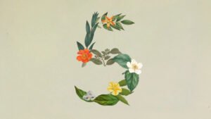 Anthropic Claude Sonnet 5: Yeni Nesil Orta Seviye Zeka ve Fiyat Dengesi