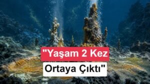 Yaşamın Kökeni: İki Bağımsız Yol, Tek Genetik Köken mi Belki Sadece Parçalı Bir Ağaç mı?